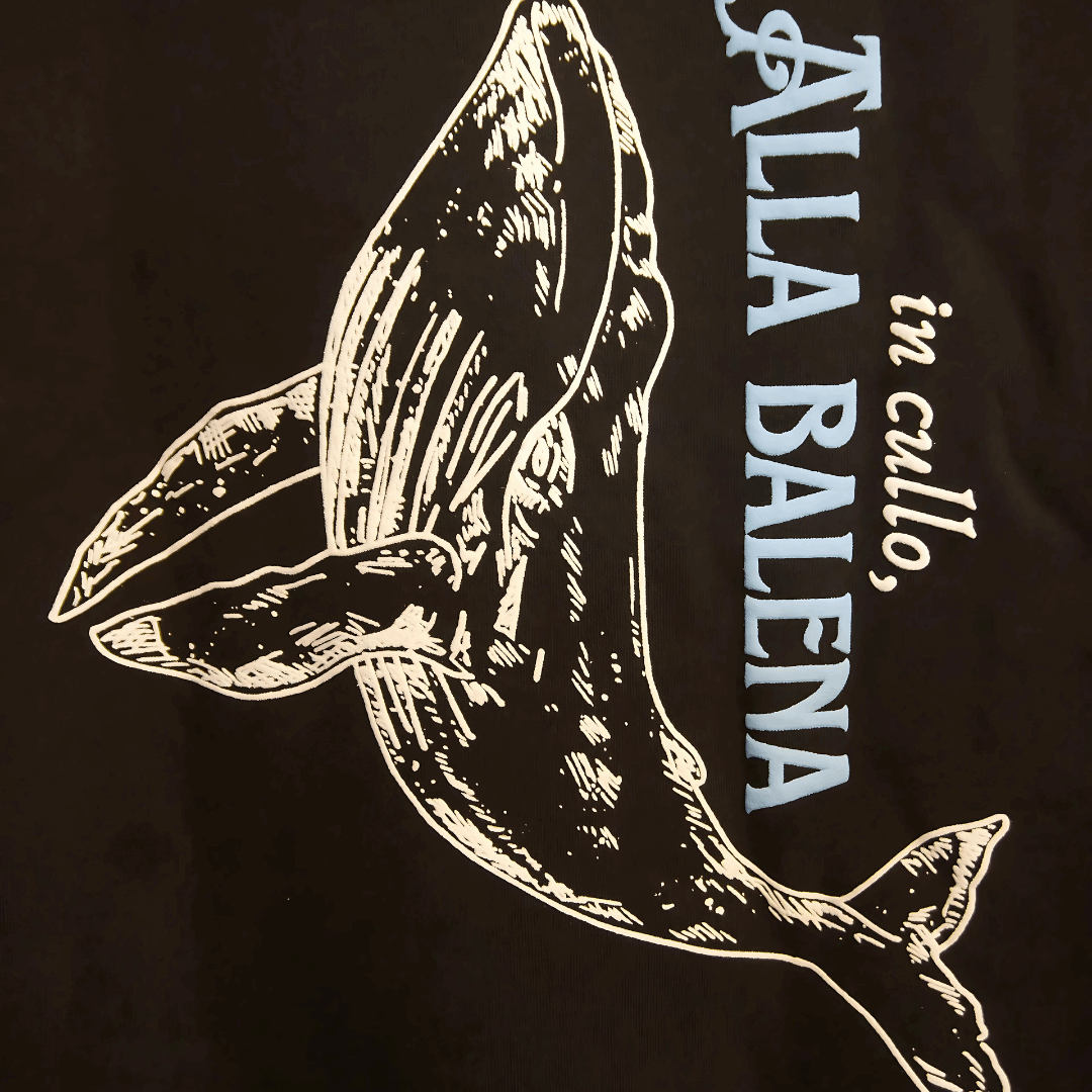 Black hoodie with a white whale illustration and text on a dark background